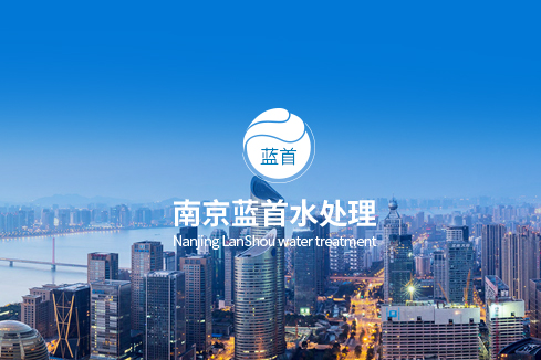 岱岳建站-南京蓝首水处理设备有限公司
